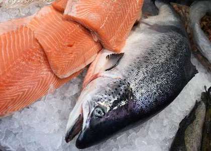 Fisch darf nicht nach Fisch riechen