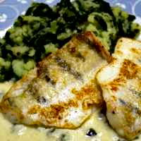 Zanderfilet gebraten an Kapernsauce auf Kartoffel-Spinat-Stampf