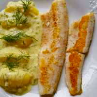 Zanderfilet in Zitronen-Dill-Sahne-Senf-Sauce